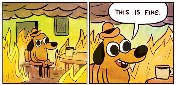 This is fine meme: a dog sits calmly at a table while the room burns.